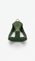 Pine Green Adventure Harness